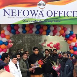 Nefowa Office