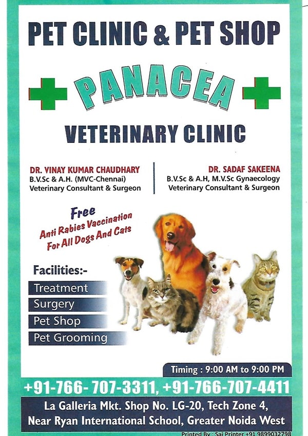 Panacea Veterinary Clinic
