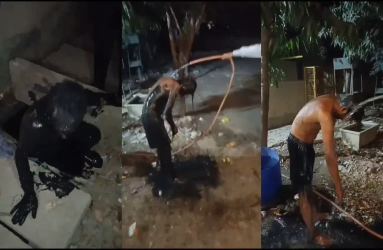 ग्रेटर नोएडा वेस्ट की अरिहंत आर्डेन सोसाइटी के पास नाले से रेस्क्यू किया गया युवक