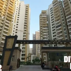 Divyansh Flora Society